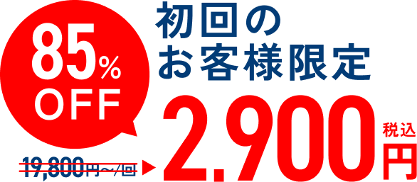初回のお客様限定 85%OFF 2,900円（税込）
